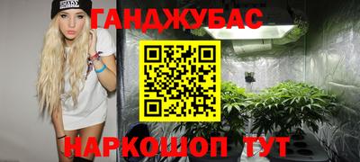 МДПВ Дубна